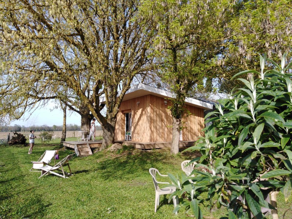 Le Chalet Du Bord De L'Eau Sainte-Terre Eksteriør bilde