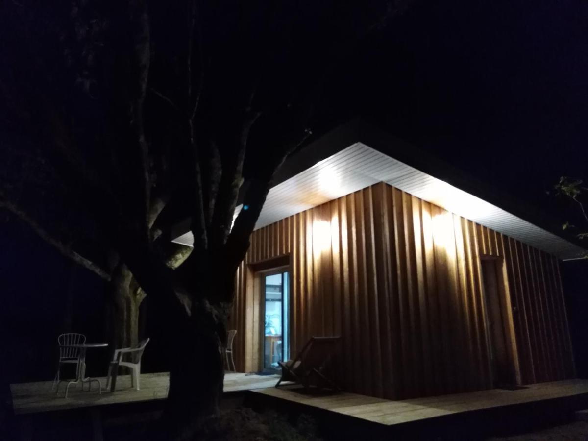 Le Chalet Du Bord De L'Eau Sainte-Terre Eksteriør bilde
